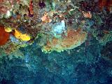 2010-09-12 13-09-40 Steven